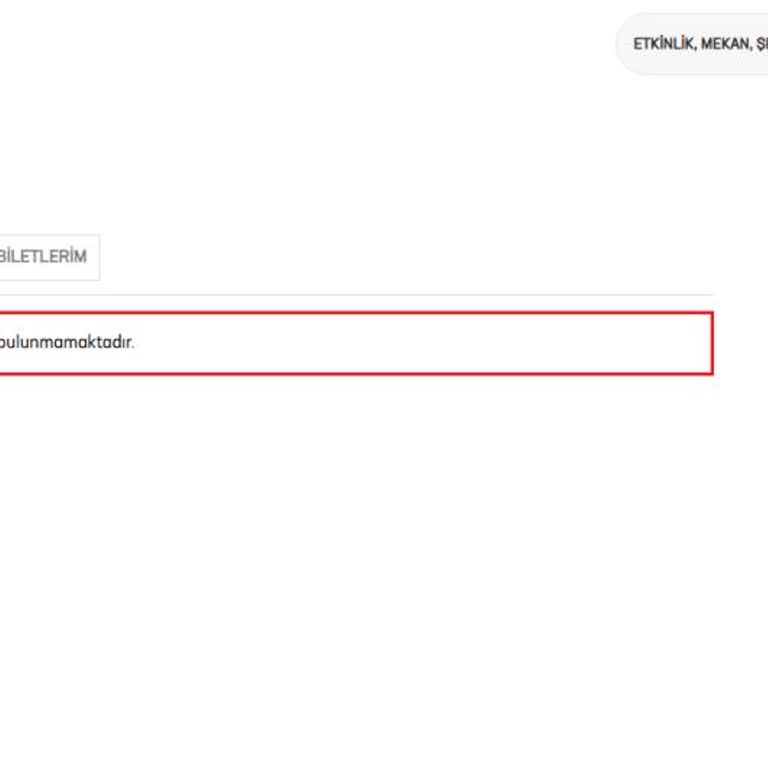 Passolig'te Bilet Görünmeme Sorunu
