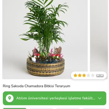 Çiçek Sepeti'nden Zamanında Teslim Edilemeyen Sipariş