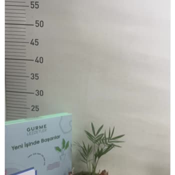 Çiçek Sepeti'nden Zamanında Teslim Edilemeyen Sipariş