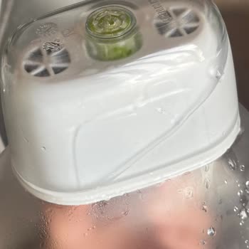 Brita Sürahimde Yosunlanma ve Filtre Sorunları