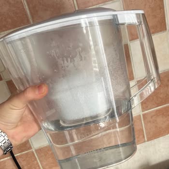 Brita Sürahimde Yosunlanma ve Filtre Sorunları