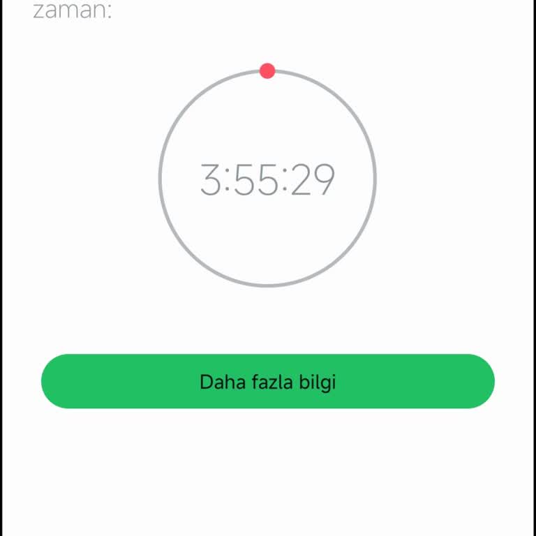Sürekli Kullanım Sorunu: Uygulama Erişimi Kesintili