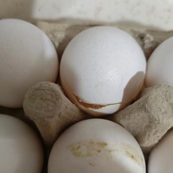 Siparişlerde Poşet Ve Ürün Kalitesi Sorunu