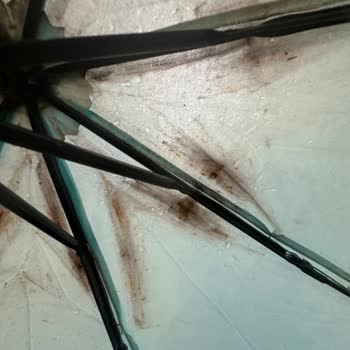 Alman Markası Güvenimi Boşa Çıkardı: Paslanan Şemsiye