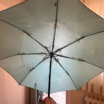 Alman Markası Güvenimi Boşa Çıkardı: Paslanan Şemsiye