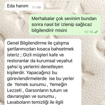 Yanıltıcı İşlem Ve Kimlik Bilgisi Güvenliği Sorunu