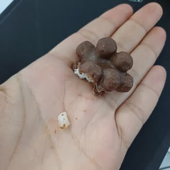 Çikolatanın İçinden Çıkan Taş Şoku