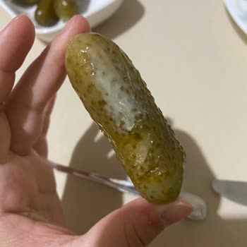 Bozuk Galle Turşusu: Yumuşak Ve Ekşi Tat Hayal Kırıklığı