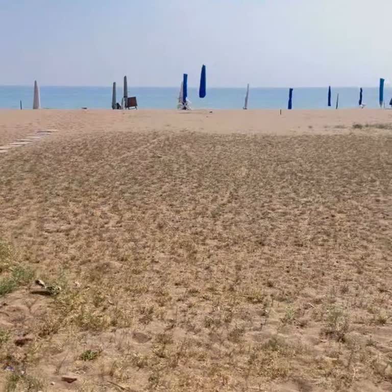 Halk Plajında Yer Kapma Sorunu: Çözüm Bekliyoruz!