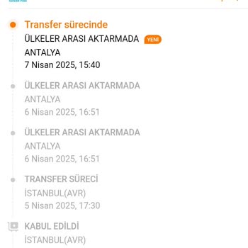 Kargom Nerede? Ülkeler Arası Aktarma Sorunu