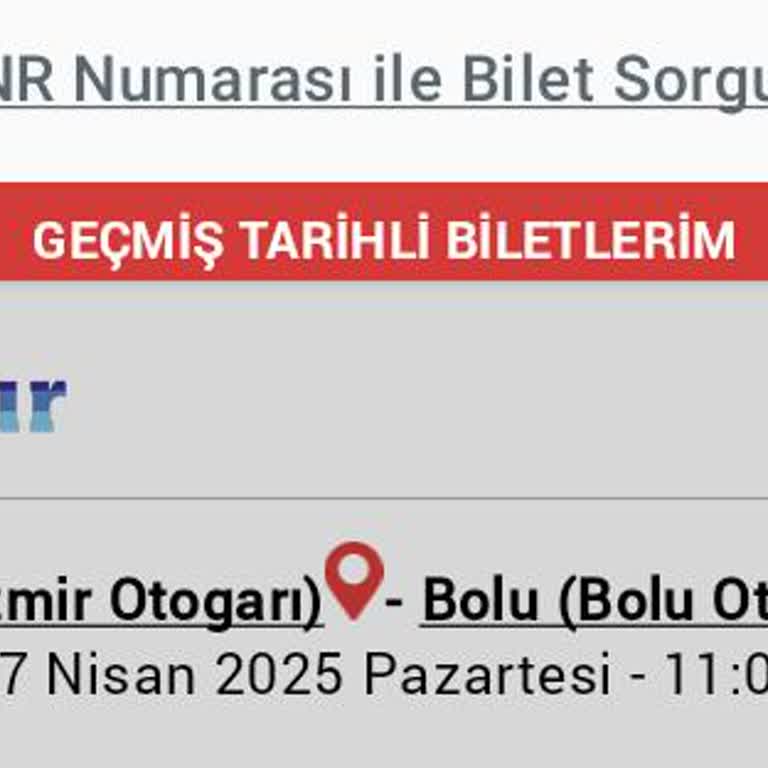 Efe Tur Yolculuğunda Kabus: Saygısız Muavin Ve Uzayan Yolculuk