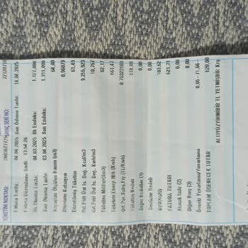 Doğalgaz Faturasında Yanlış Hesaplama Ve Devlet Desteği Sorunu