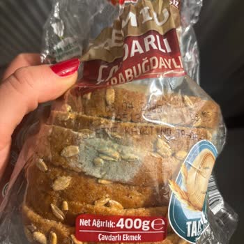 Taze Görünen Ekmeğin Küflenme Sorunu