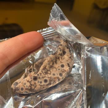 Küflü Çikolata Mağduriyeti