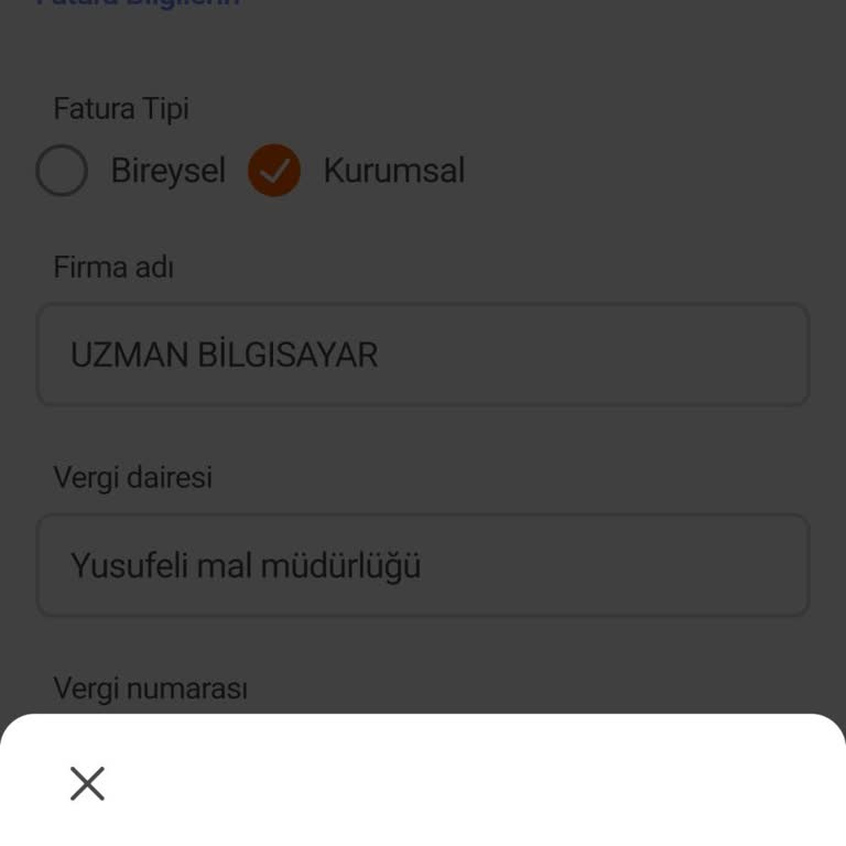 Kurumsal Bilgilerde Hatalar Ve E-Fatura Sorunu