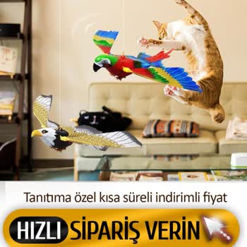 Gürültücü Oyuncak Papağan Hayal Kırıklığı