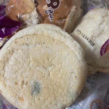 Küflü Ekmek Şoku: Ada Gross Ovacık'ta Hayal Kırıklığı