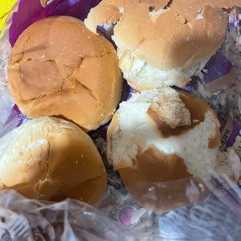 Küflü Ekmek Şoku: Ada Gross Ovacık'ta Hayal Kırıklığı