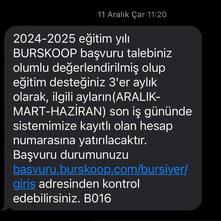 Burs Ödemesi Gecikmesi: Öğrencilerin Mağduriyeti Ve Beklenen Açıklama