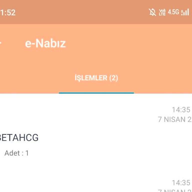 E-Nabız'da Gebelik Testi Sonuçlarına Ulaşamama Sorunu