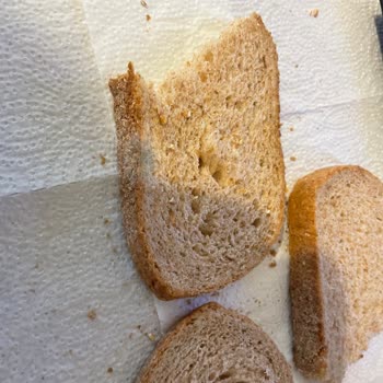 Küflü Ekmek Ve İlgisiz Müşteri Hizmetleri