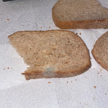 Küflü Ekmek Ve İlgisiz Müşteri Hizmetleri