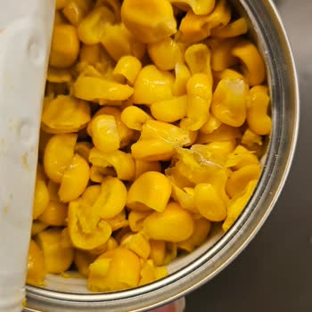 Son Kullanma Tarihi Geçmemiş Mısırın Hayal Kırıklığı