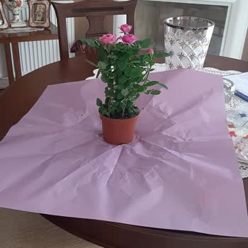 Çiçek Sepeti Beklenmeyen Hayal Kırıklığı