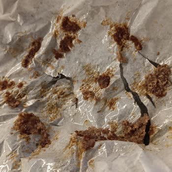 Piknik Pişirme Kağıdı Hayal Kırıklığı