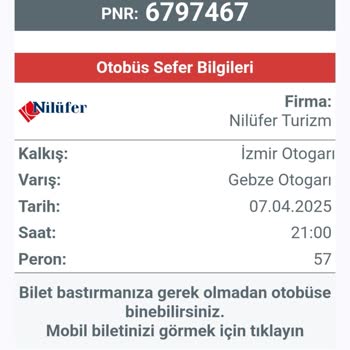 Soğuk Yolculuk Ve Eski Araç Sorunu