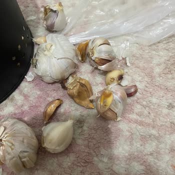 Migros'ta Hediye Money Ve Çürük Sarımsak Sorunu