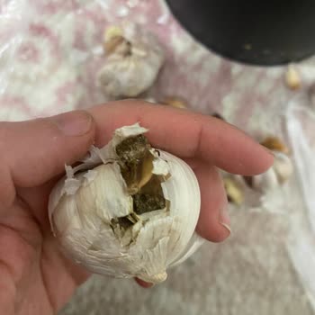 Migros'ta Hediye Money Ve Çürük Sarımsak Sorunu