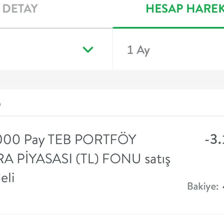 Otomatik Fon Alımı Sorunu