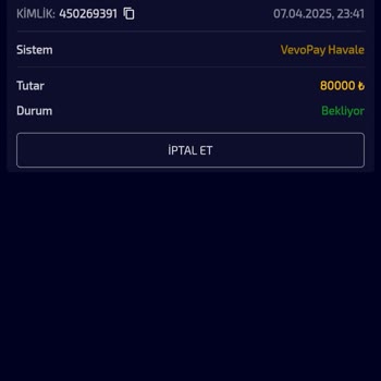 Oyun Sitesinde Yaşanan Sorunlar