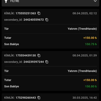 Yatırım Sonrası Beklentiler ve Deneyimler