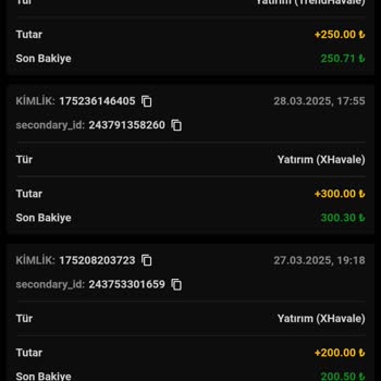 Yatırım Sonrası Beklentiler ve Deneyimler