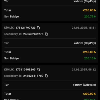 Yatırım Sonrası Beklentiler ve Deneyimler