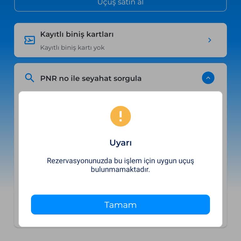 Uçuş Kapısı Değişikliği Mağduriyeti: Vize Süresi Dolmadan Yardım Bekliyorum!