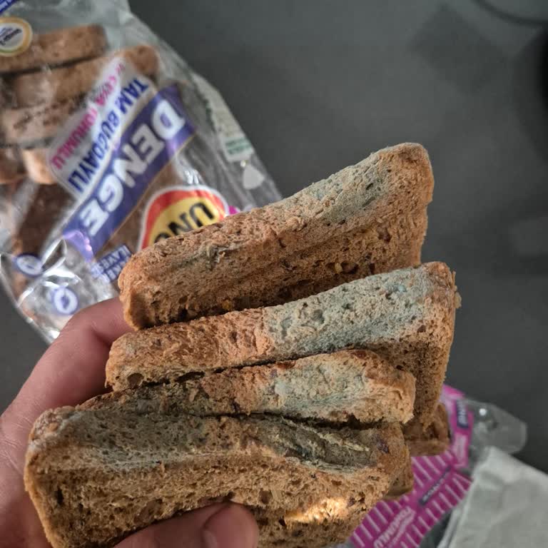Küflü Ekmek Ve İade Sorunu