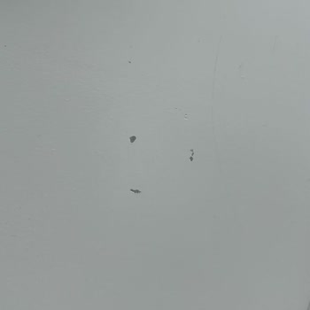 Lake Masada Beklenmedik Sorunlar