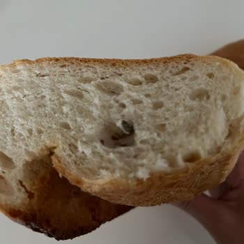 Ekmeğin İçinden Çıkan Gizemli Maddeler