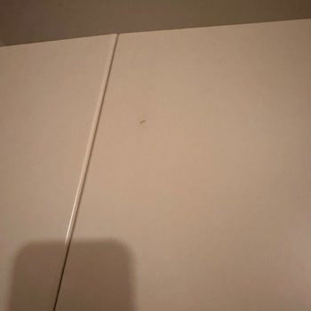 Ev Moda'dan Kusurlu Ürün Ve İlgisizlik Şoku