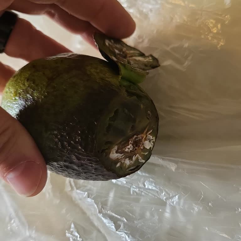 Migros Hemen'den Gelen Çürük Ürün Sorunu