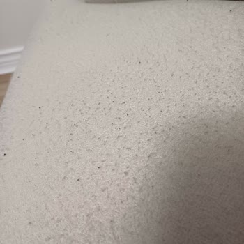 Divan Ev'den Aldığımız Eşyalar Hayal Kırıklığı