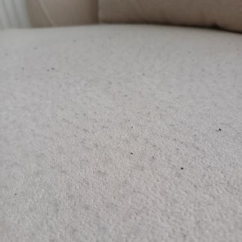 Divan Ev'den Aldığımız Eşyalar Hayal Kırıklığı