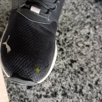 FLO Mağazasından Alınan Puma Ayakkabıda Kalite Sorunu Ve Müşteri Hizmetleri Ulaşım Zorluğu