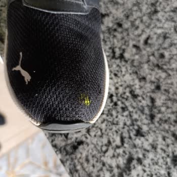 FLO Mağazasından Alınan Puma Ayakkabıda Kalite Sorunu Ve Müşteri Hizmetleri Ulaşım Zorluğu