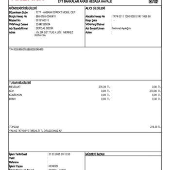 Para Yatırma Sorunu Ve Destek Talebi