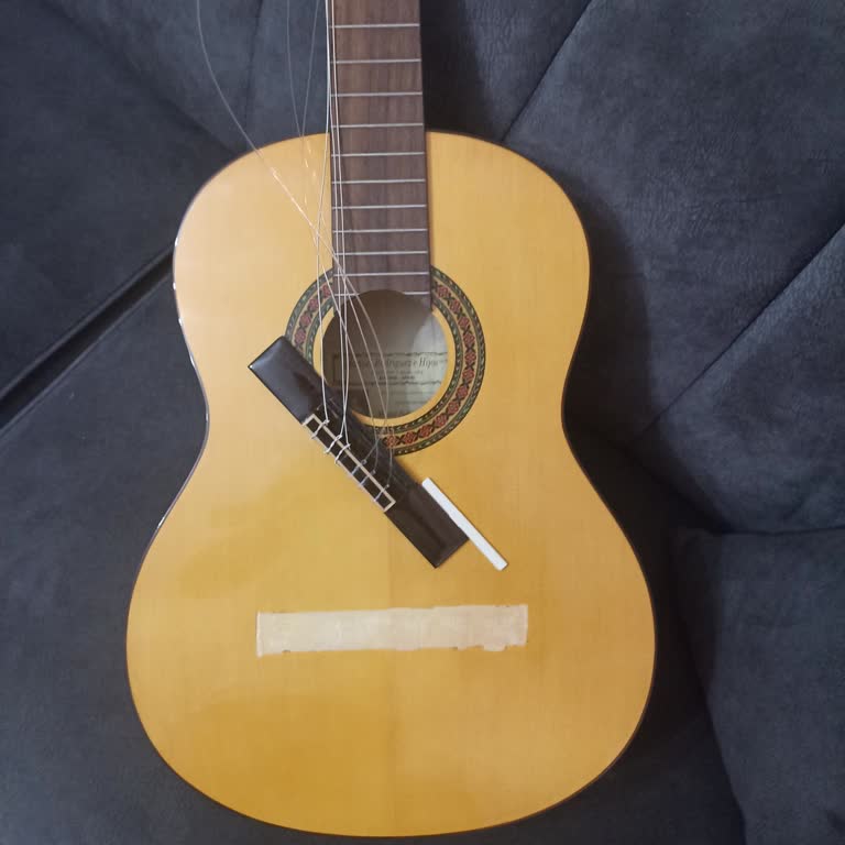 Kusurlu Gitar Ve Yetersiz Tamir Hizmeti