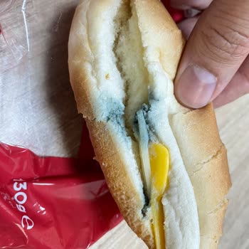 Dardanel Bozuk Ve Küflü Sandviç Şoku